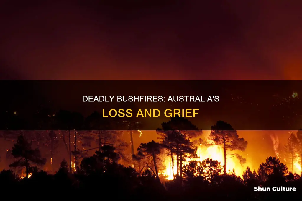 how many people died in australia bushfire