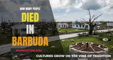 The Human Loss in Barbuda's Tragedy