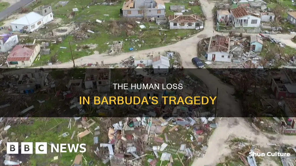 how many people died in barbuda