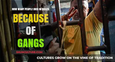 Brazil's Gang Violence: Uncovering the Devastating Death Toll