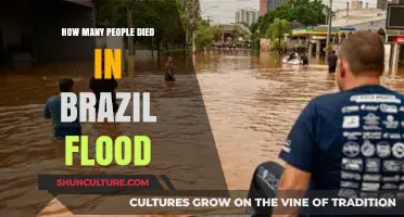 Brazil Floods: Devastating Death Toll and Impact Revealed
