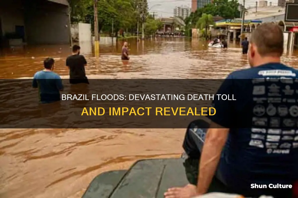 how many people died in brazil flood