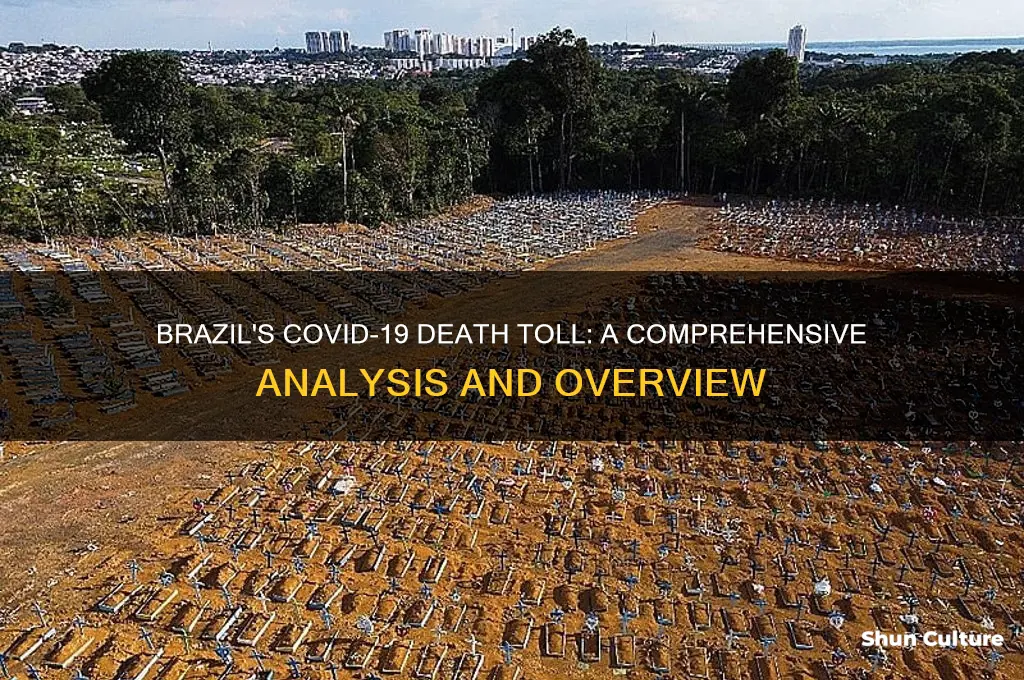how many people died in brazil from the coronavirus
