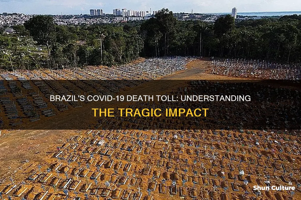 how many people died in brazil from the virus