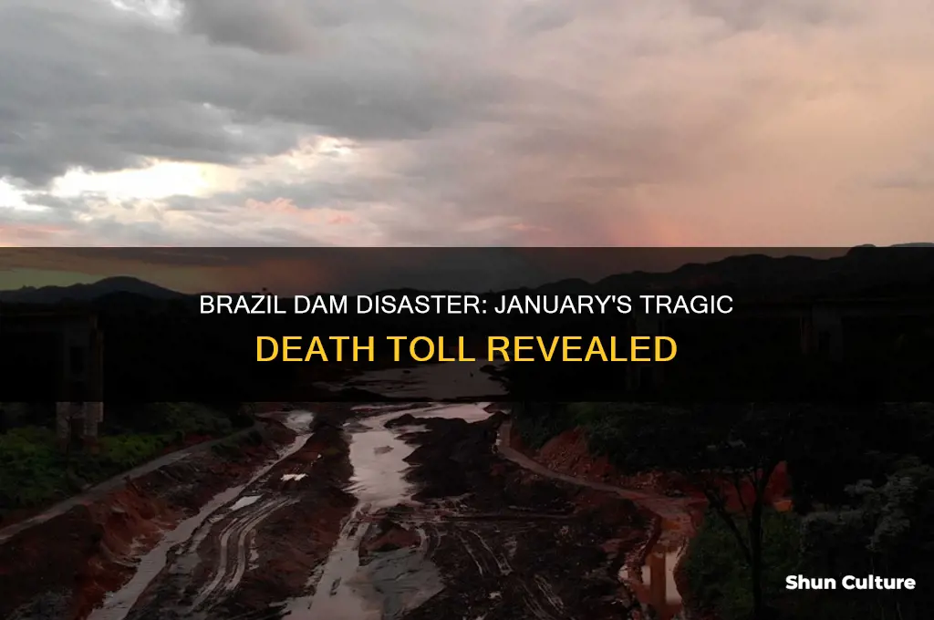 how many people died in brazil in january dam disaster