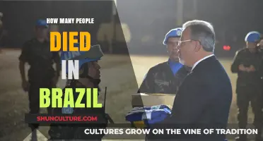 Brazil's Tragic Loss: Understanding the Country's Death Toll