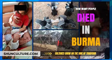 Tragic Toll in Burma: Uncovering the Human Cost of Conflict