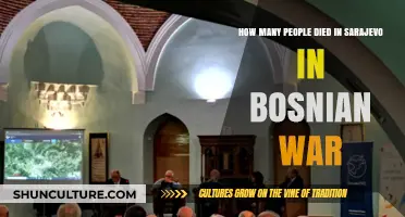 Sarajevo's Tragic Toll: Casualties of the Bosnian War Revealed