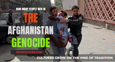 The Forgotten Tragedy: Afghanistan's Dark Chapter of Ethnic Cleansing