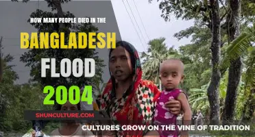 Devastating Bangladesh Flood of 2004: Uncovering the Tragic Death Toll