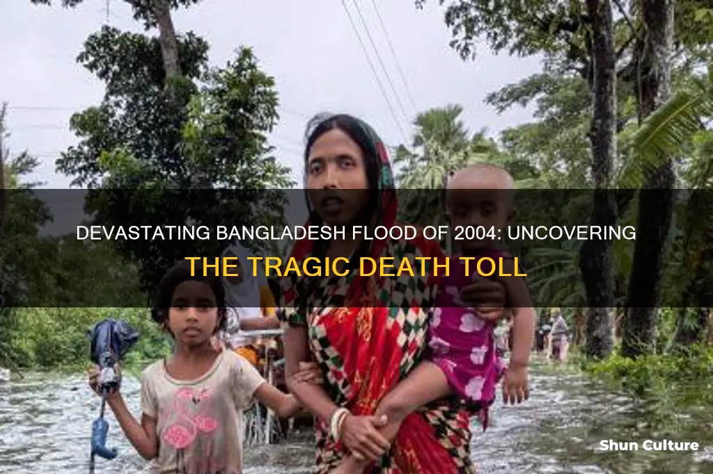 how many people died in the bangladesh flood 2004