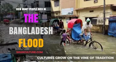 Bangladesh Flood Devastation: Uncovering the Tragic Human Toll