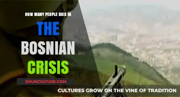 The Bosnian Crisis Death Toll: Uncovering the Tragic Human Cost