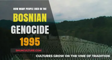 The Bosnian Genocide of 1995: Uncovering the Devastating Death Toll