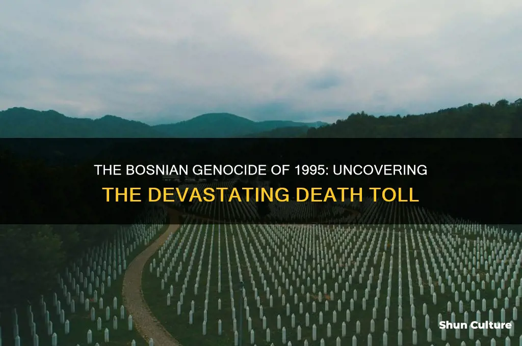 how many people died in the bosnian genocide 1995