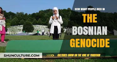Bosnian Genocide Death Toll: Uncovering the Tragic Human Cost