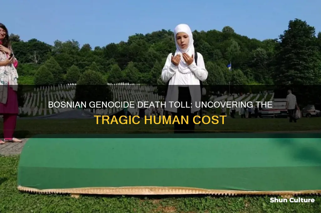 how many people died in the bosnian genocide