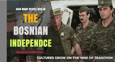 Bosnian Independence War: Uncovering the Devastating Human Toll