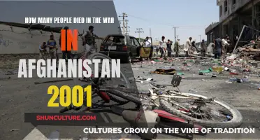 The Human Cost of War: Examining the Fatalities in Afghanistan Since 2001