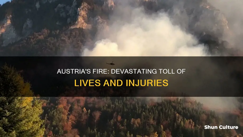 how many people died or got injured of austrias fire