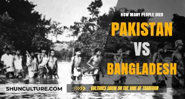 Pakistan-Bangladesh War Casualties: Uncovering the Human Cost of Conflict