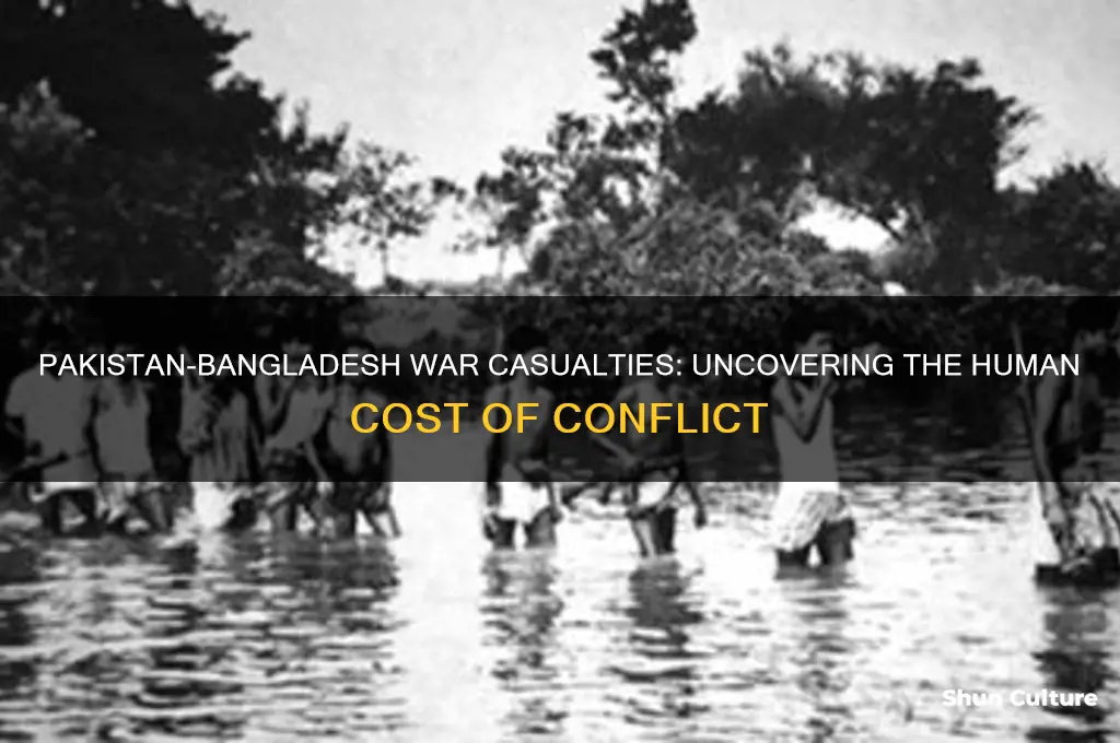how many people died pakistan vs bangladesh
