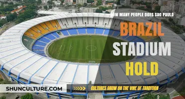 Discover the Massive Capacity of São Paulo's Iconic Stadium