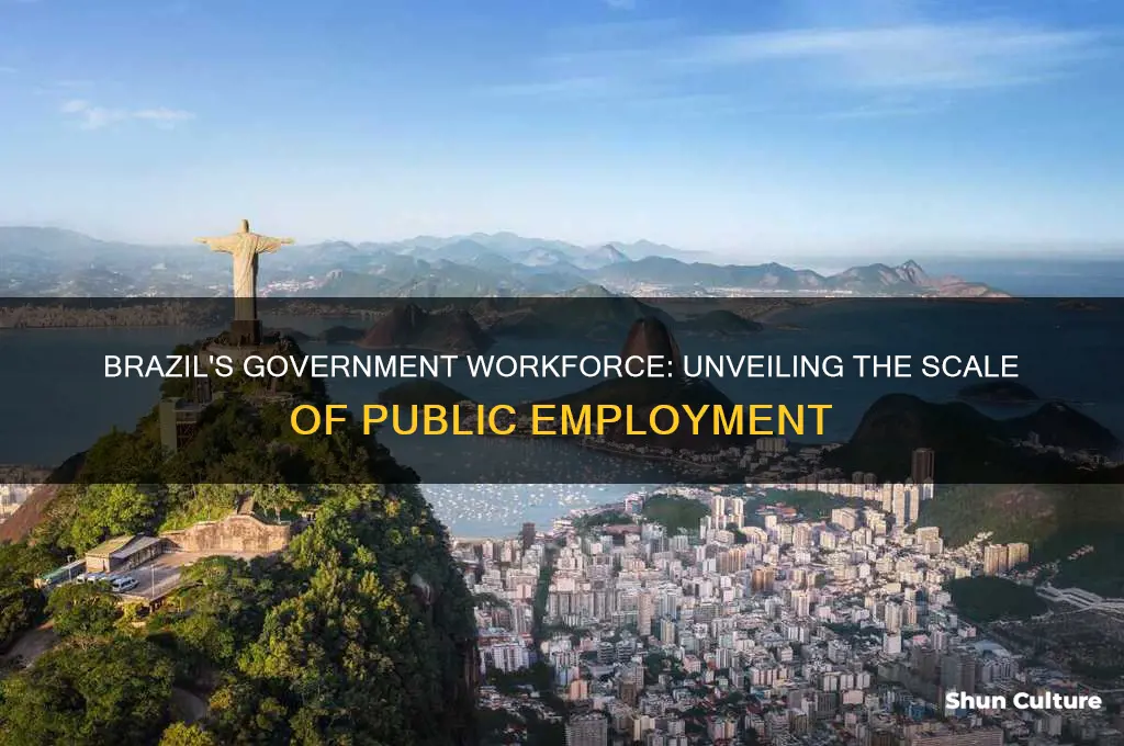 how many people does the brazil govt hire