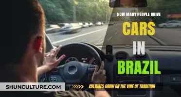 Exploring Brazil's Car Culture: How Many People Drive Cars?