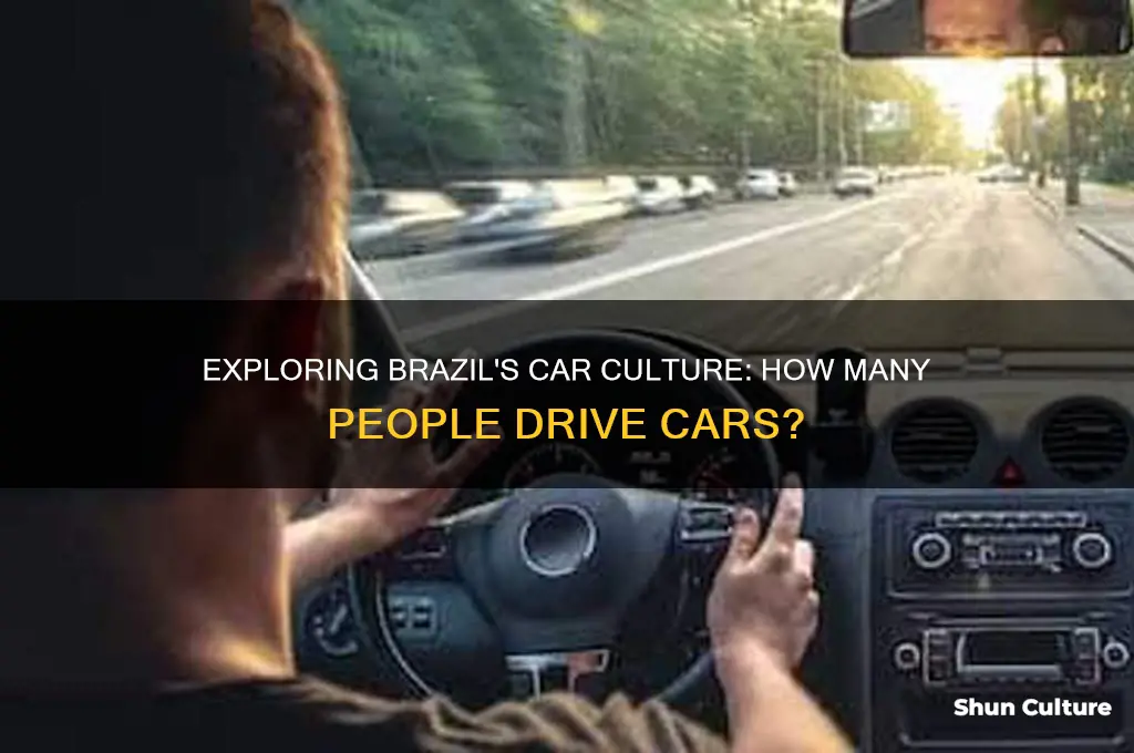 how many people drive cars in brazil