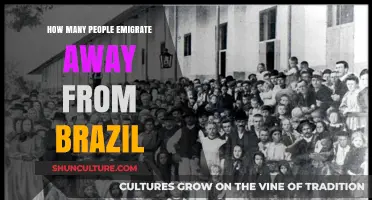 Exploring the Rising Trend of Emigration from Brazil: Who's Leaving?