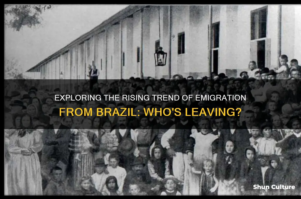 how many people emigrate away from brazil