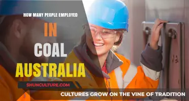 Employment Insights: Coal Industry in Australia