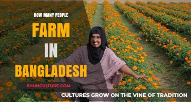 Exploring Bangladesh's Agricultural Workforce: How Many People Farm?