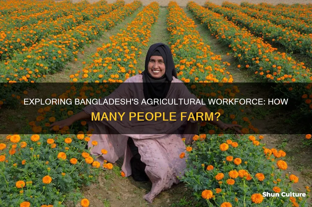 how many people farm in bangladesh
