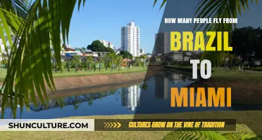 Brazil to Miami Flights: Passenger Numbers and Travel Trends