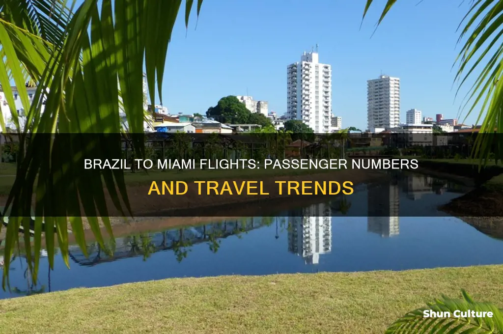 how many people fly from brazil to miami