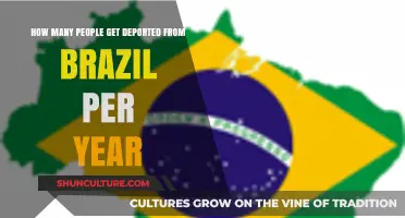 Annual Deportation Rates: Understanding Brazil's Immigration Enforcement Statistics