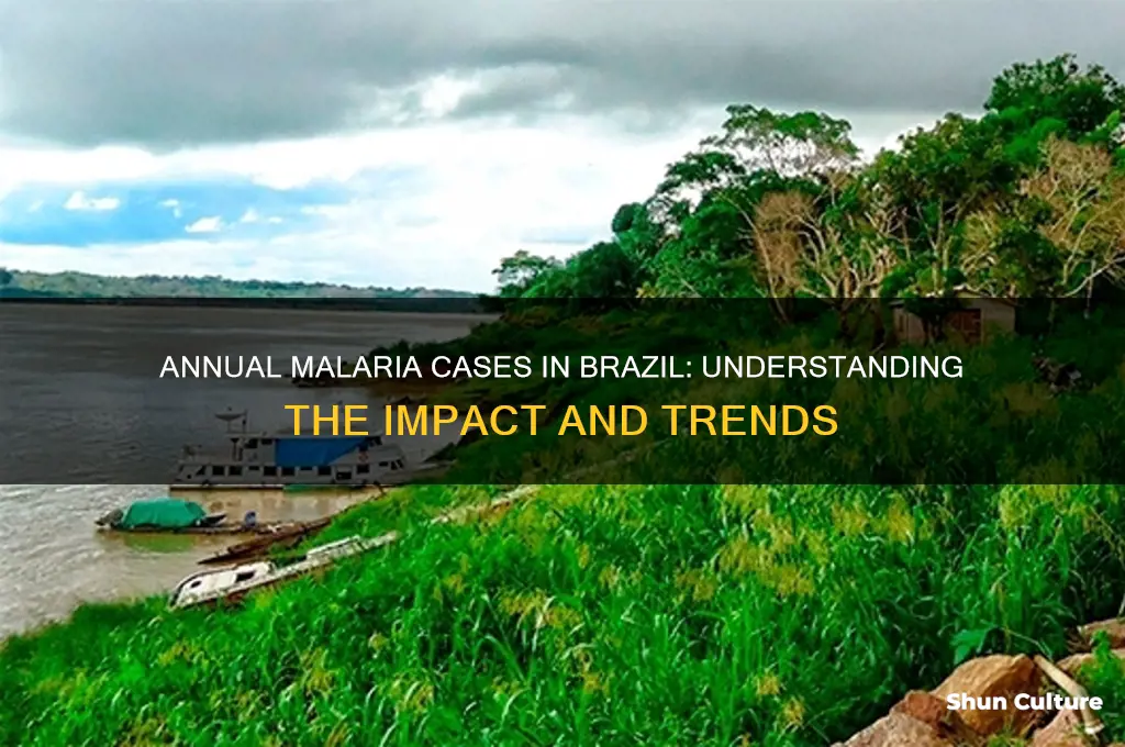 how many people get malaria in brazil every year
