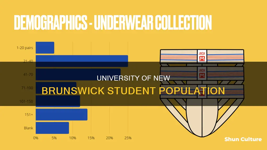 how many people go to university of new brunswick