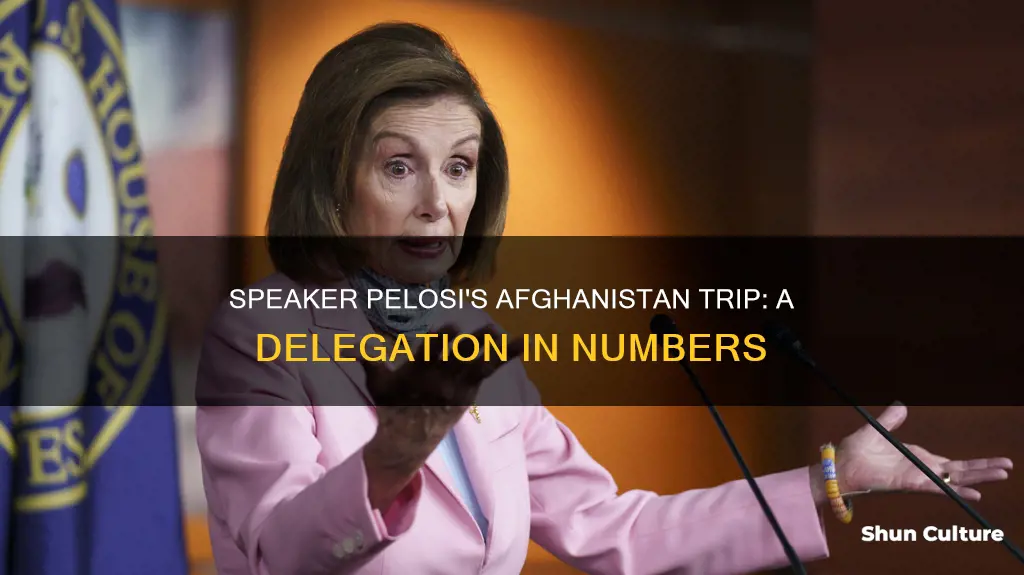 how many people going with nancy pelosi to afghanistan