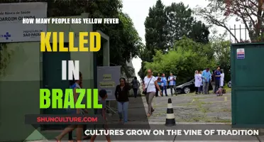 Yellow Fever's Deadly Impact: Brazil's Historical and Recent Fatalities