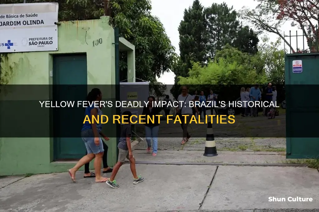 how many people has yellow fever killed in brazil
