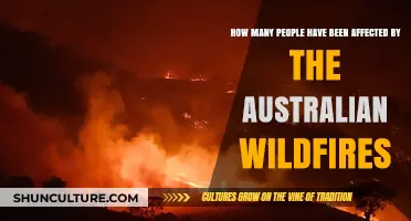 Devastating Impact: Australian Wildfires Affect Millions