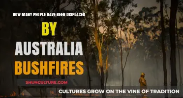 Devastating Australia Bushfires: Displaced Victims Count