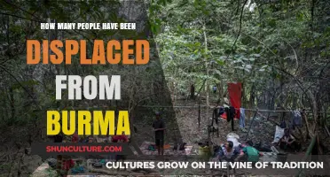 The Unseen Exodus: Burma's Displacement Crisis Unfolds
