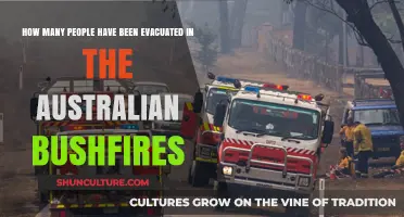 Devastating Bushfires: Australians Evacuated From Their Homes