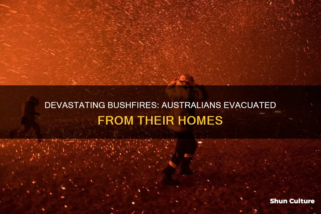 how many people have been evacuated in the australian bushfires
