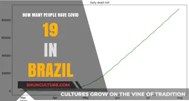 COVID-19 Cases in Brazil: Tracking the Latest Infection Numbers