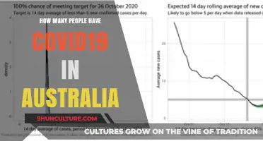 Tracking COVID-19 Cases: Australia's Numbers